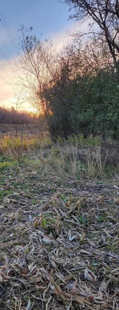 LT1 Sleepy Hollow Rd, West Bend, WI 53090