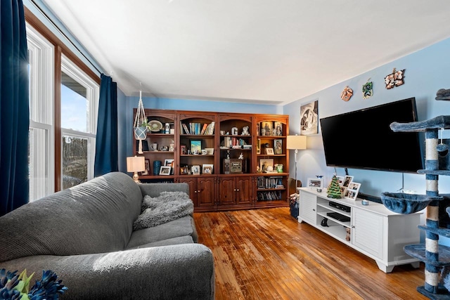 living room with wood-type flooring