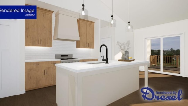 kitchen with custom exhaust hood, dark wood-type flooring, a center island with sink, sink, and stainless steel range oven