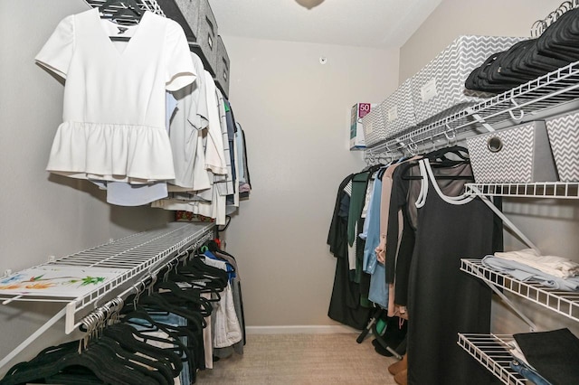 walk in closet featuring carpet flooring