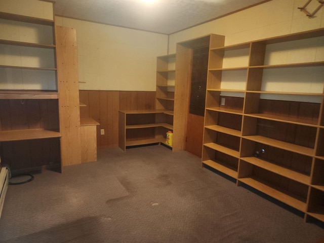 41 E Vista Blvd, Markesan, WI 53946 - unfurnished office with dark colored carpet, wood walls, and wainscoting