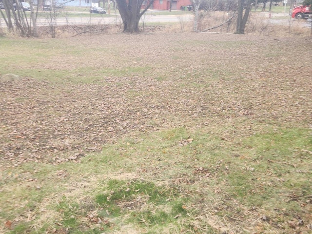 41 E Vista Blvd, Markesan, WI 53946 - view of yard