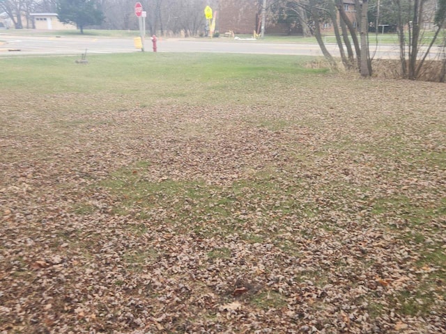 41 E Vista Blvd, Markesan, WI 53946 - view of yard