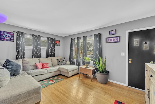 living room featuring light hardwood / wood-style floors and a wealth of natural light