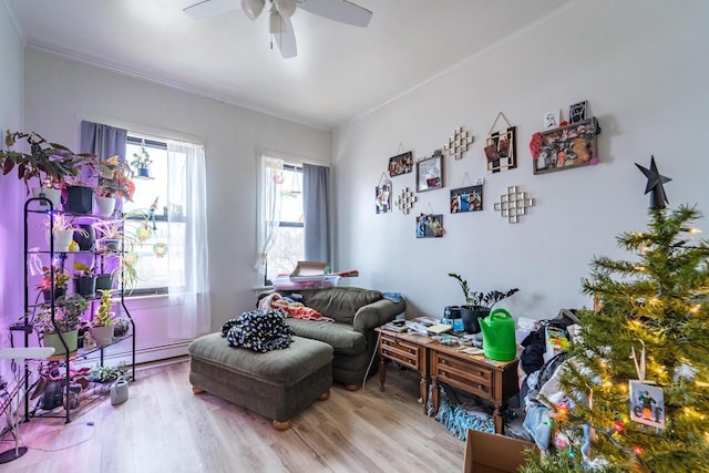 living room featuring ceiling fan, light hardwood / wood-style floors, and ornamental molding