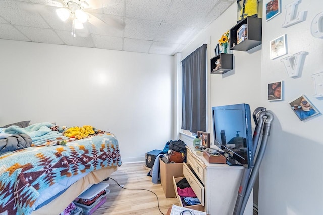 bedroom featuring a drop ceiling, light hardwood / wood-style flooring, and ceiling fan