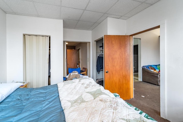 bedroom with carpet flooring, a drop ceiling, and a closet