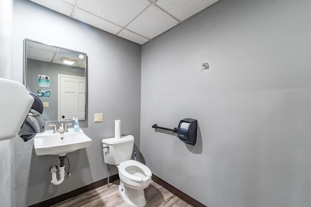 bathroom with a drop ceiling, toilet, wood-type flooring, and sink