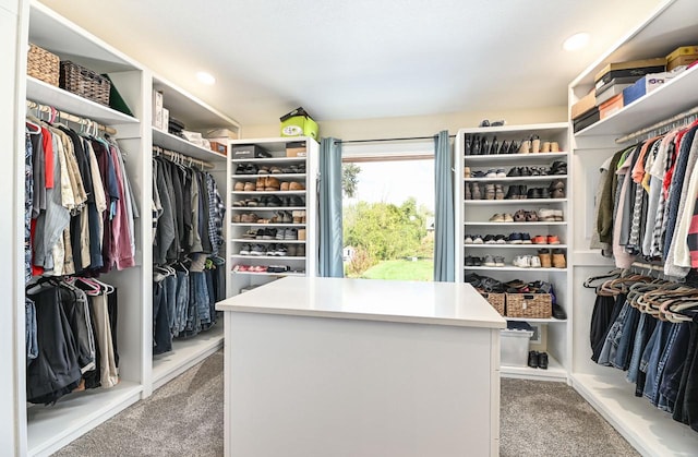 7134 N Tichigan Rd, Waterford, WI 53185 - spacious closet featuring carpet flooring