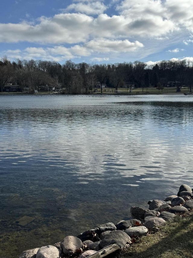 property view of water