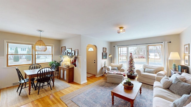 living room with light hardwood / wood-style flooring