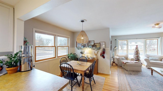dining room with a wealth of natural light and light hardwood / wood-style flooring