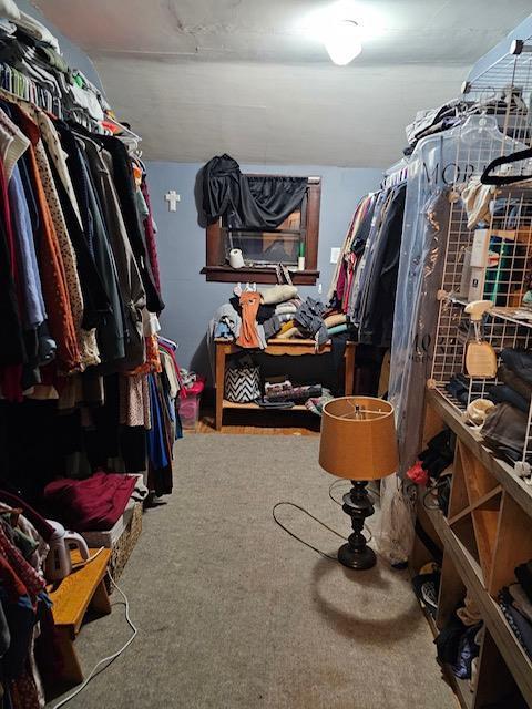 walk in closet featuring carpet flooring