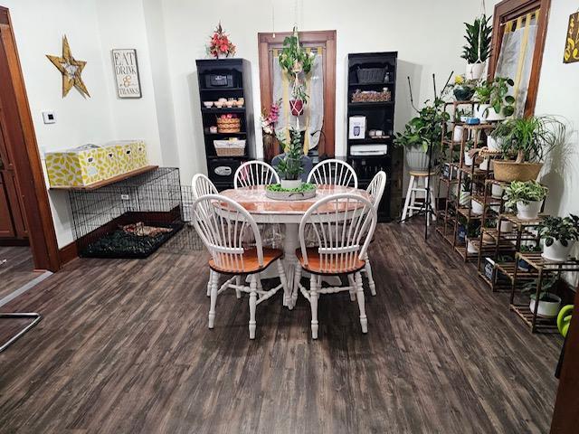 dining room with dark hardwood / wood-style flooring