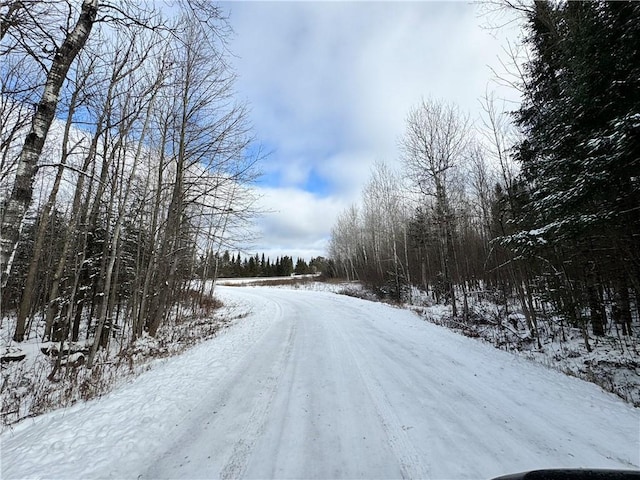 Listing photo 3 for LOT1 State Highway 70, Loretta WI 54896