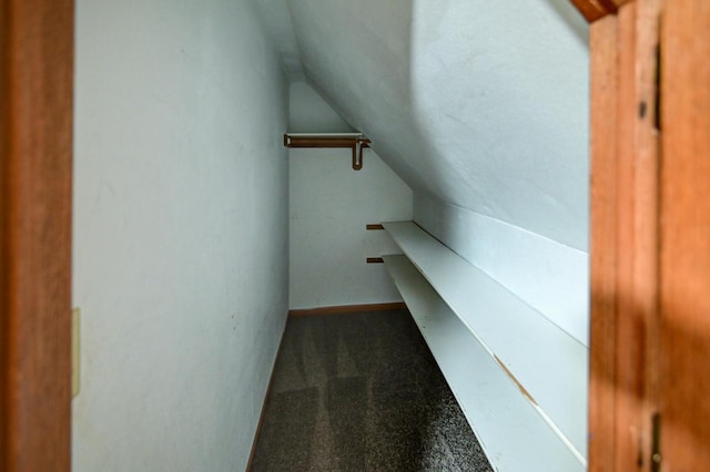 spacious closet featuring carpet floors and vaulted ceiling