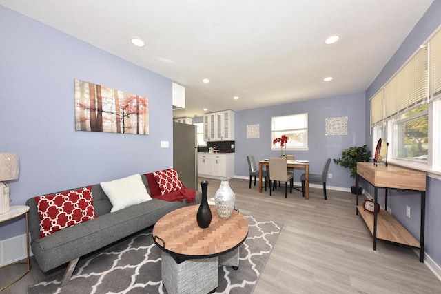 living room featuring light hardwood / wood-style flooring and a healthy amount of sunlight