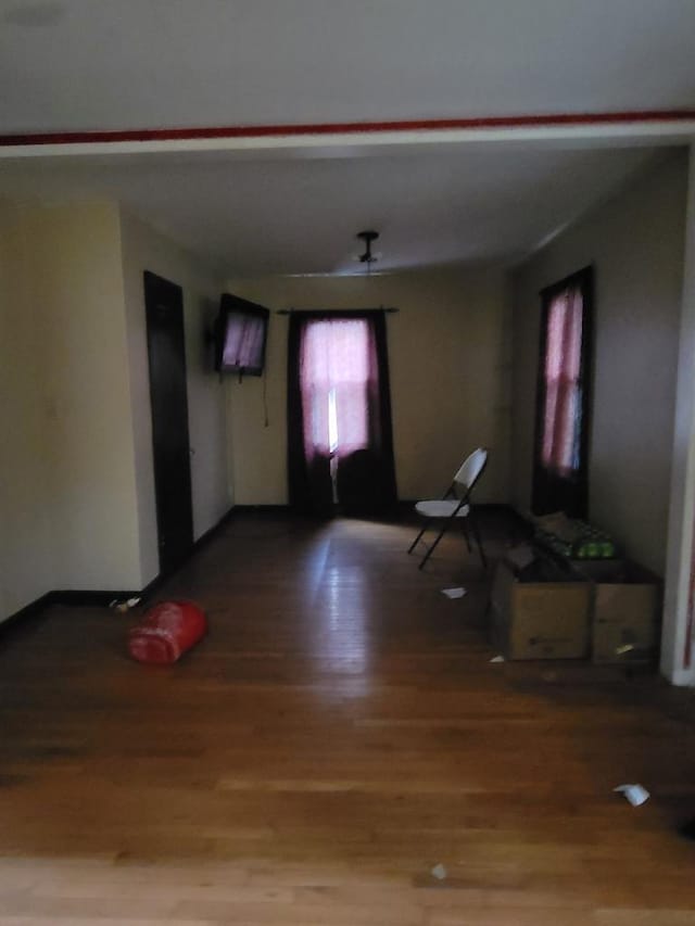 hallway featuring wood-type flooring