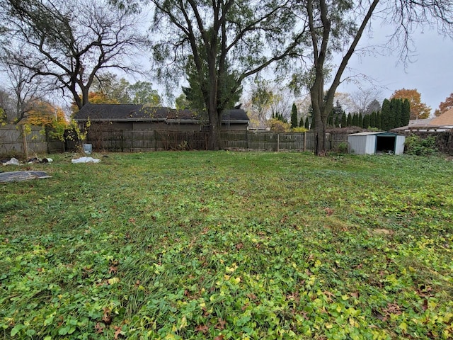 view of yard with a shed