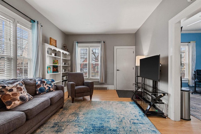 living room featuring light wood-type flooring