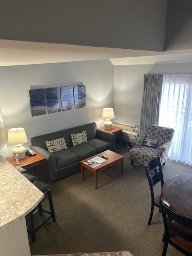 living room featuring carpet flooring