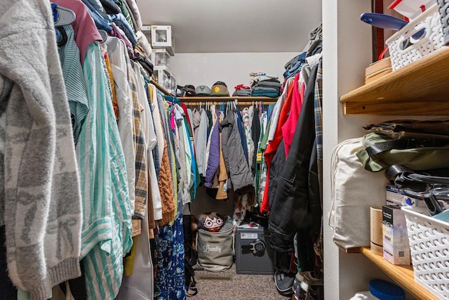 spacious closet with carpet