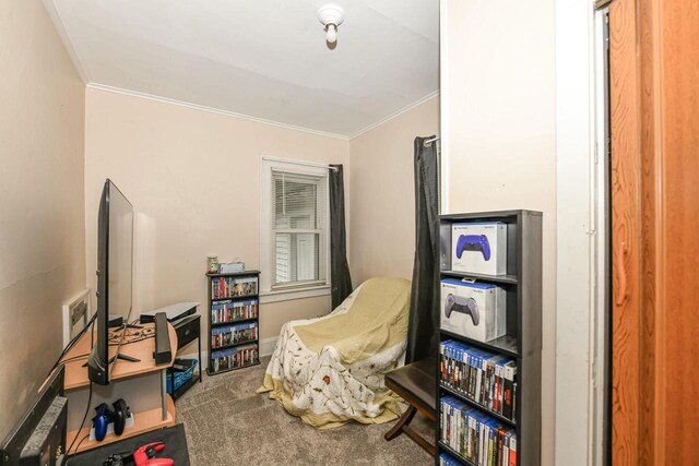 sitting room with carpet flooring and crown molding