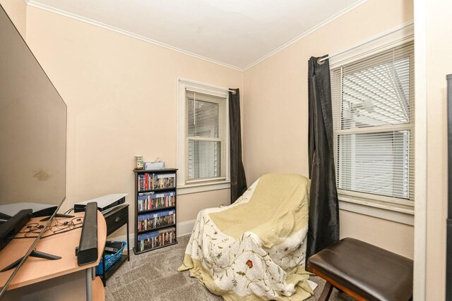 sitting room featuring carpet and ornamental molding