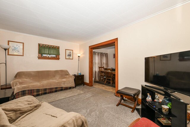 carpeted living room with ornamental molding