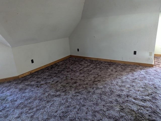 312 Railroad St, Norwalk, WI 54648 - additional living space with lofted ceiling, carpet flooring, and baseboards
