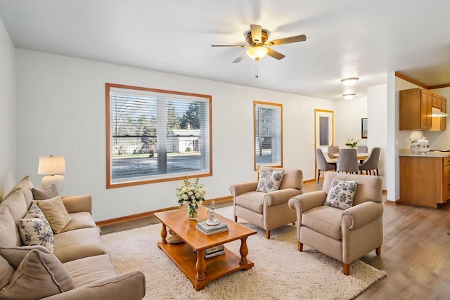 living room featuring ceiling fan and light hardwood / wood-style floors