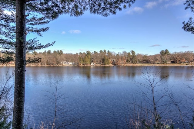 view of water feature