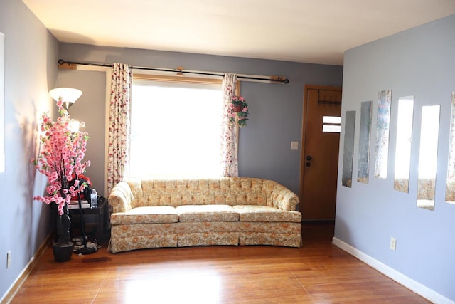 living room featuring wood-type flooring