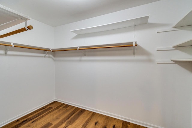 spacious closet featuring dark wood-type flooring