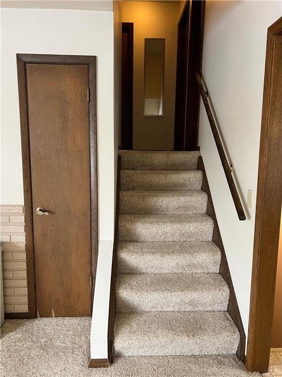 stairway featuring carpet