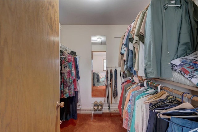 walk in closet with carpet