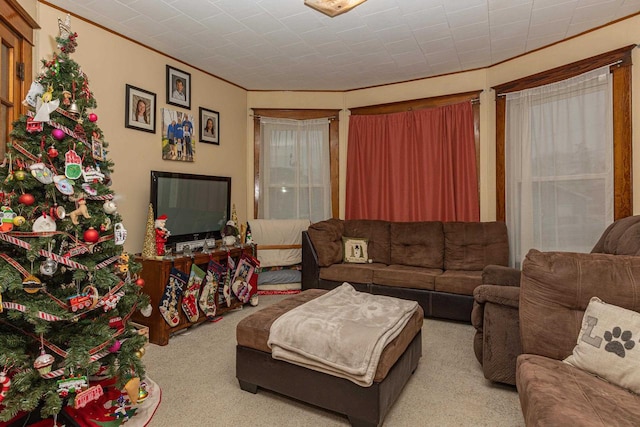 living room with light colored carpet