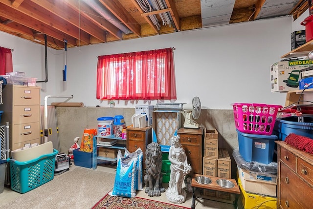 basement with carpet flooring