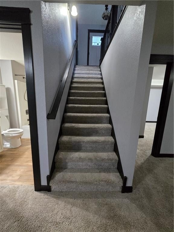 stairway with wood-type flooring