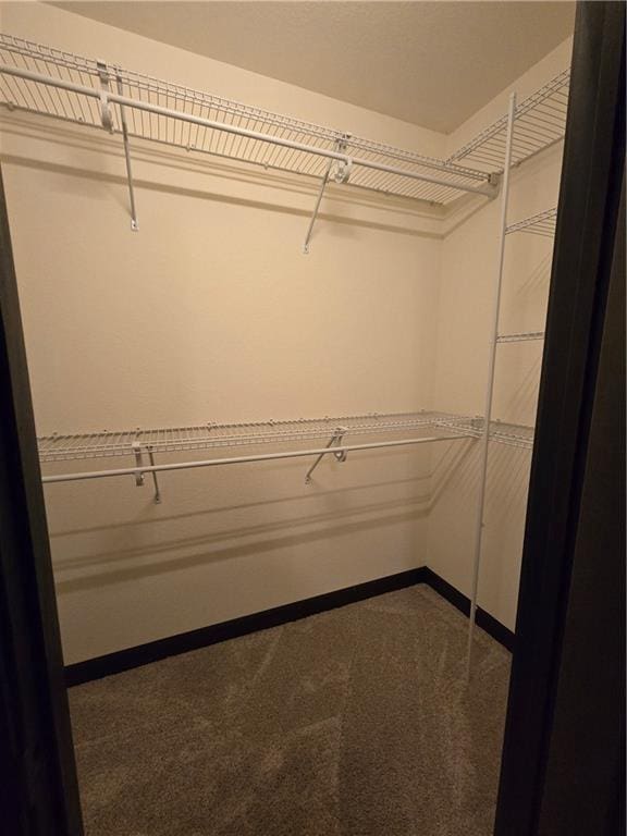 walk in closet featuring dark carpet