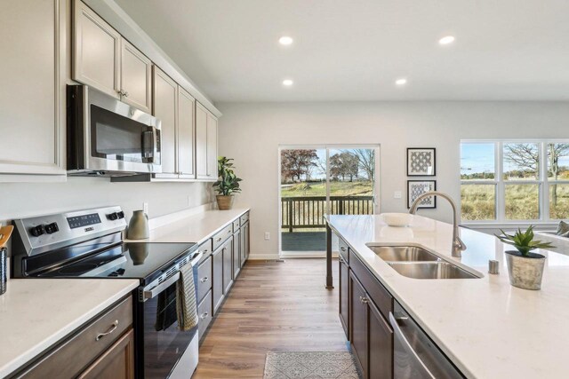 kitchen with sink, a wealth of natural light, stainless steel appliances, and hardwood / wood-style floors