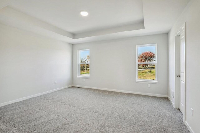 carpeted spare room featuring a tray ceiling