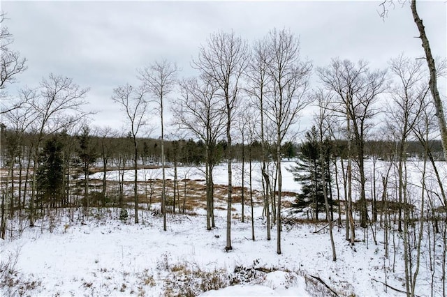 10805 Clear Lake Dr, Hayward WI, 54843 land for sale