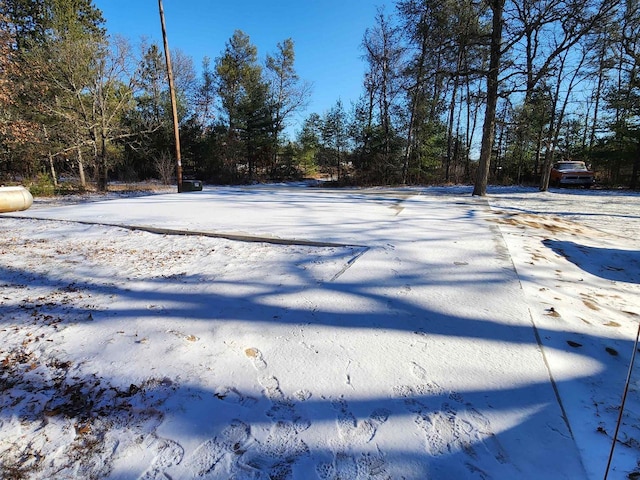 view of yard covered in snow