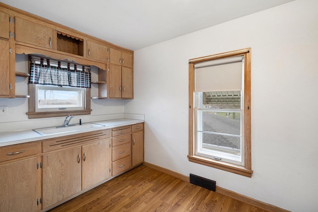 kitchen featuring light hardwood / wood-style flooring and sink