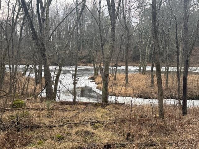 4 Taliesin Way, Weston, WI 54476