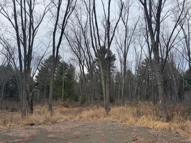 4 Taliesin Way, Weston, WI 54476
