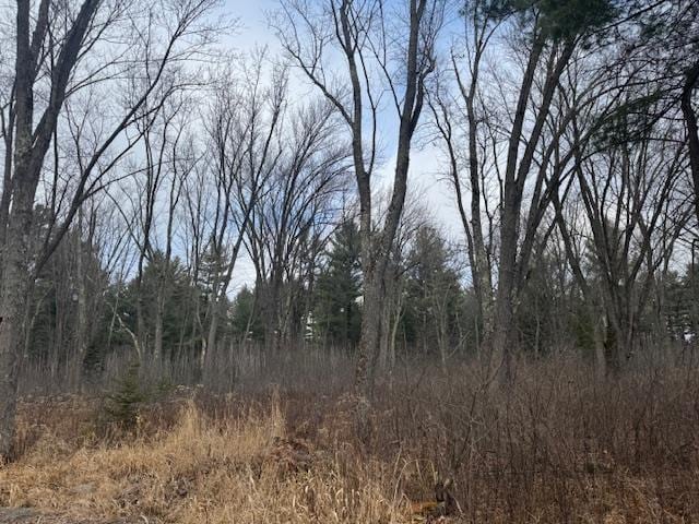 4 Taliesin Way, Weston, WI 54476