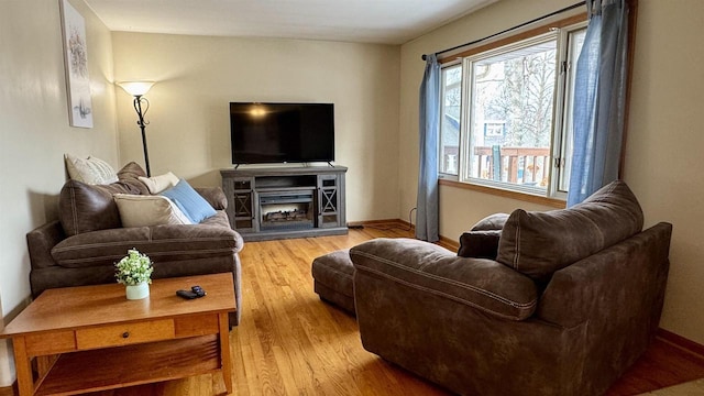 living room featuring a fireplace and wood-type flooring