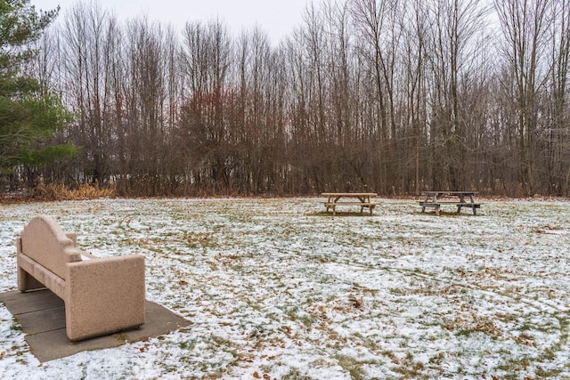 view of yard covered in snow